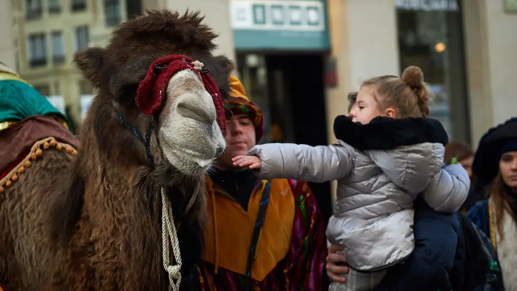Degustación de los roscones de Reyes en la calle Bergamín con la presencia de las monturas reales. MIGUEL OSÉS