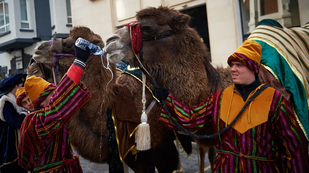 Degustación de los roscones de Reyes en la calle Bergamín con la presencia de las monturas reales. MIGUEL OSÉS