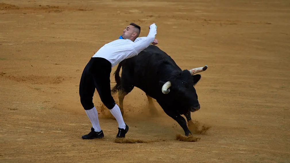 Tarde de recortes de toros en la ciudad de Tudela con grandes medidas de seguridad ante la Covid-19. MIGUEL OSÉS