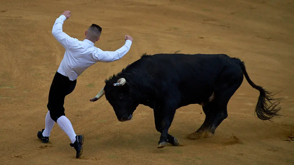 Tarde de recortes de toros en la ciudad de Tudela con grandes medidas de seguridad ante la Covid-19. MIGUEL OSÉS