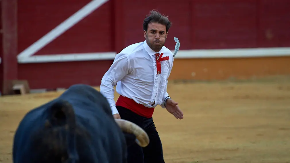 Tarde de recortes de toros en la ciudad de Tudela con grandes medidas de seguridad ante la Covid-19. MIGUEL OSÉS