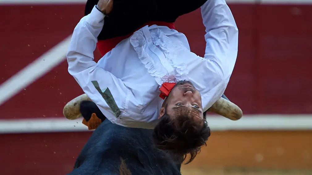 Tarde de recortes de toros en la ciudad de Tudela con grandes medidas de seguridad ante la Covid-19. MIGUEL OSÉS