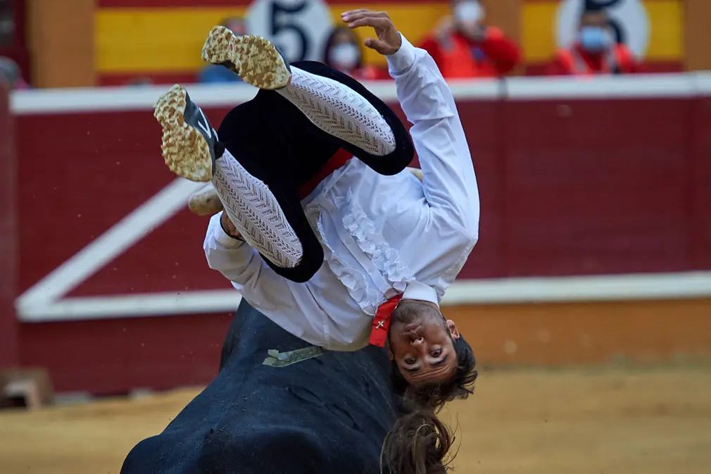 Tarde de recortes de toros en la ciudad de Tudela con grandes medidas de seguridad ante la Covid-19. MIGUEL OSÉS