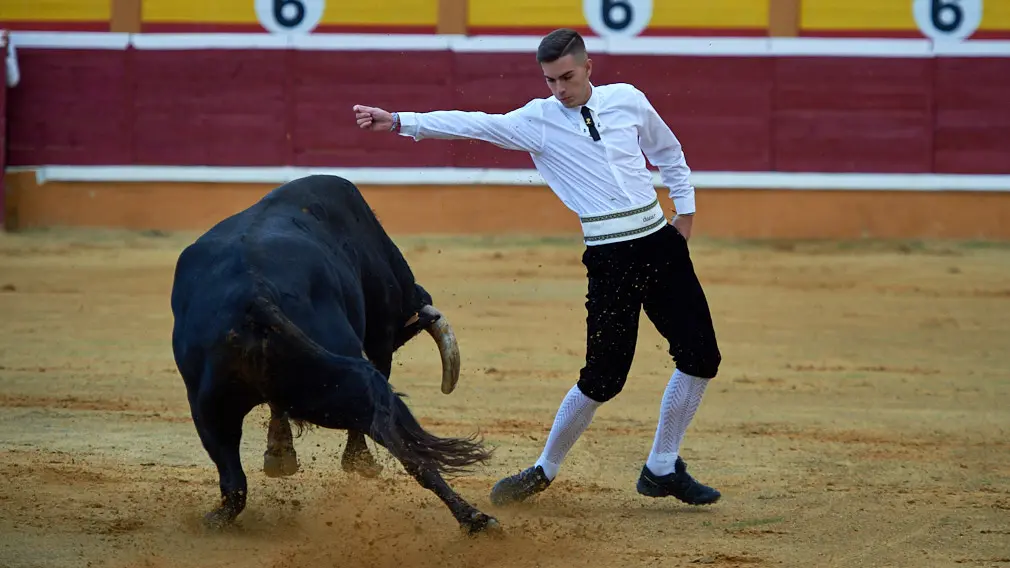Tarde de recortes de toros en la ciudad de Tudela con grandes medidas de seguridad ante la Covid-19. MIGUEL OSÉS