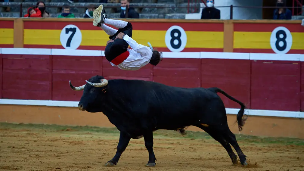 Tarde de recortes de toros en la ciudad de Tudela con grandes medidas de seguridad ante la Covid-19. MIGUEL OSÉS
