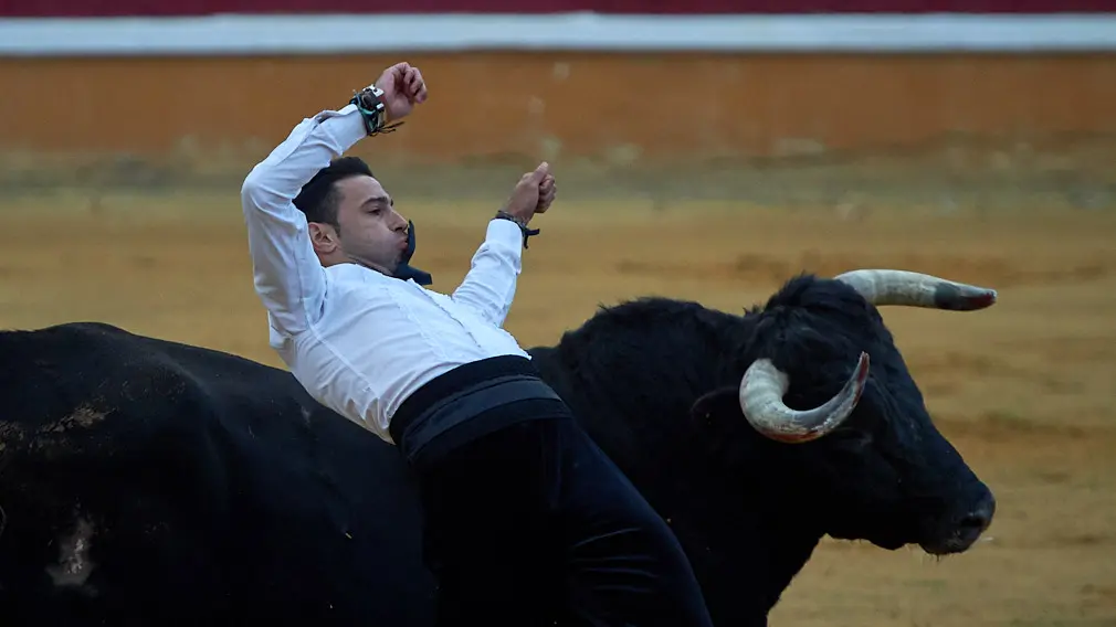 Tarde de recortes de toros en la ciudad de Tudela con grandes medidas de seguridad ante la Covid-19. MIGUEL OSÉS