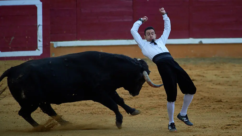 Tarde de recortes de toros en la ciudad de Tudela con grandes medidas de seguridad ante la Covid-19. MIGUEL OSÉS