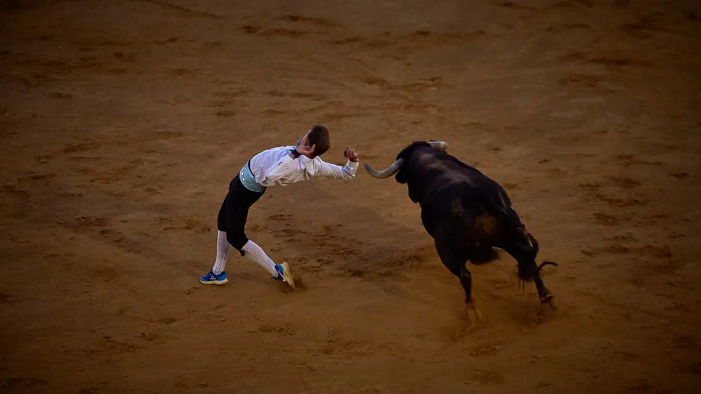 Tarde de recortes de toros en la ciudad de Tudela con grandes medidas de seguridad ante la Covid-19. MIGUEL OSÉS