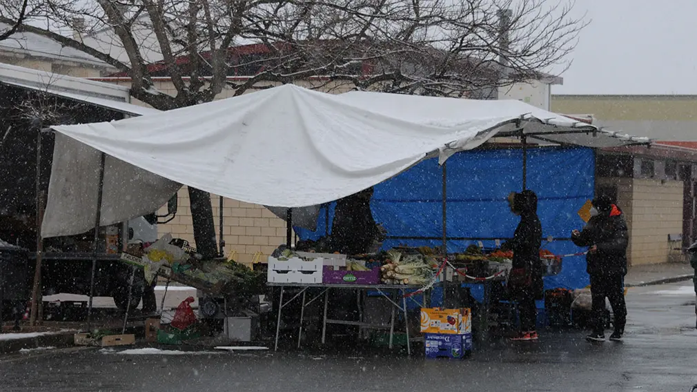 Imágenes de Caparroso nevado este sábado tras la llegada de 'Filomena' a una comunidad Foral en alerta máxima, y con todos los recursos movilizados, por el temporal. AMAYA LUQUI