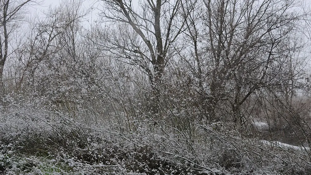 Imágenes de Caparroso nevado este sábado tras la llegada de 'Filomena' a una comunidad Foral en alerta máxima, y con todos los recursos movilizados, por el temporal. AMAYA LUQUI