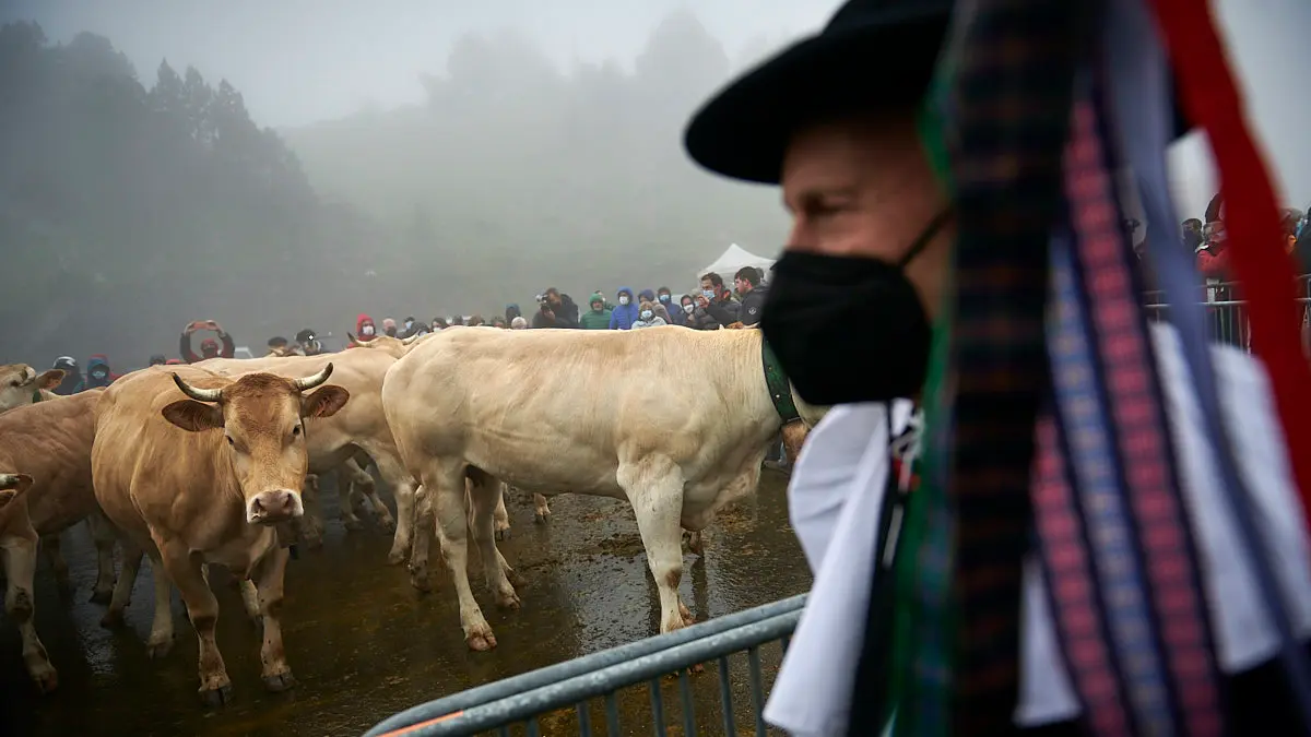 El Tratado de las Tres Vacas se celebra cada 13 de julio entre los valles de Roncal y Baretous desde 1375. PABLO LASAOSA
