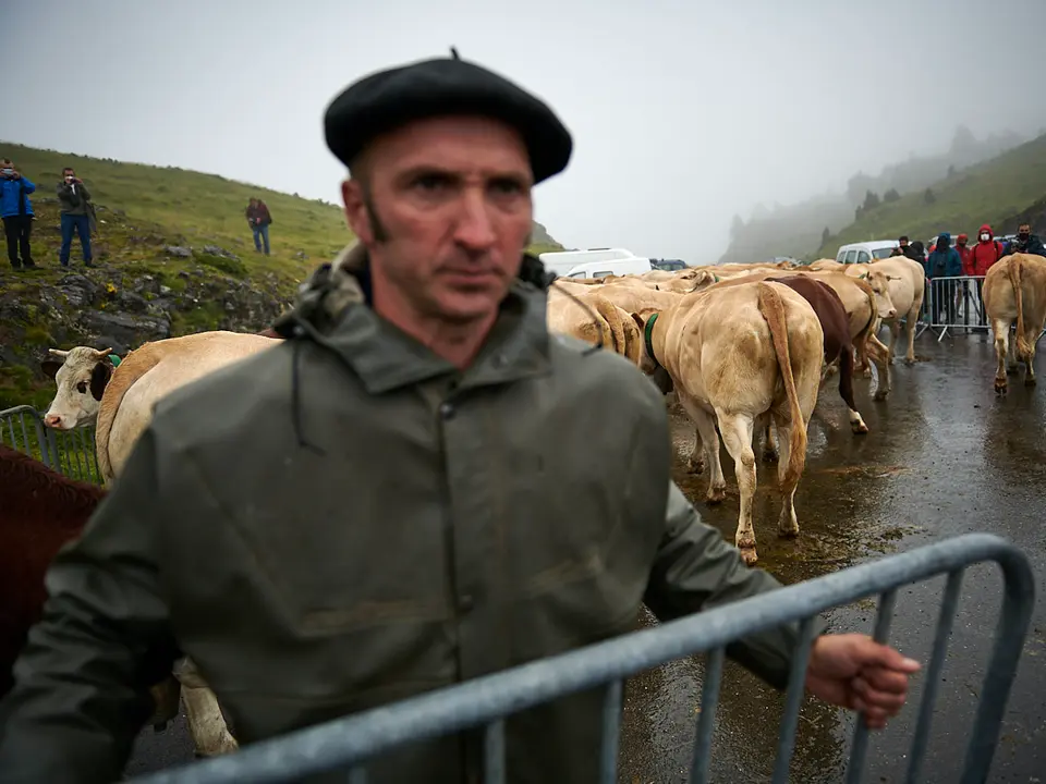 El Tratado de las Tres Vacas se celebra cada 13 de julio entre los valles de Roncal y Baretous desde 1375. PABLO LASAOSA