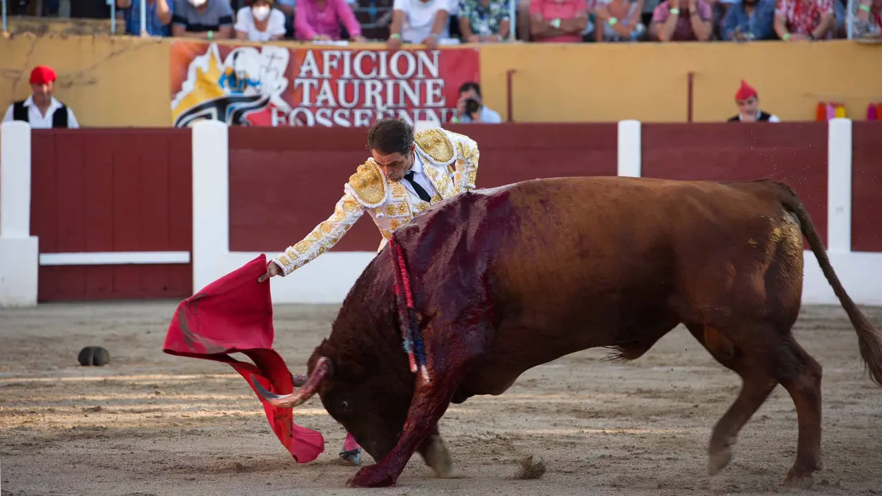 Corrida de toros en Francia de Casta Navarra de la ganadería de Miguel Reta. SERGIO COLÁS