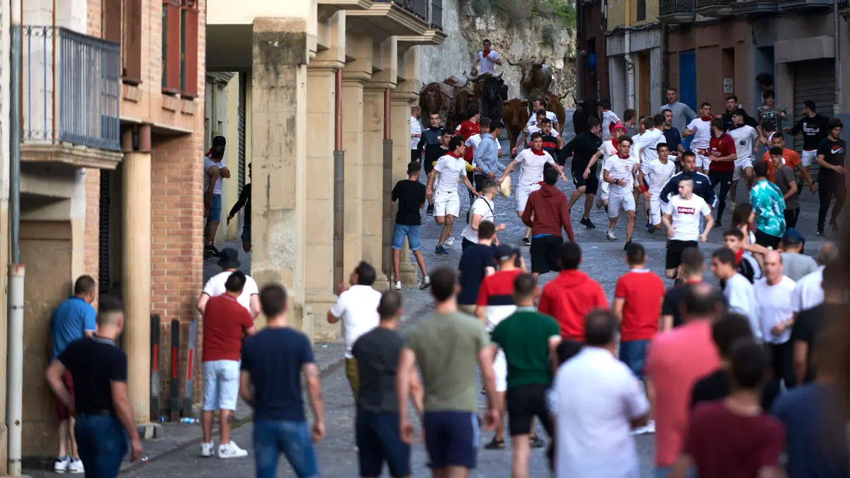 Encierro de novillos el domingo en Estella durante las Fiestas del Puy. IRANZU LARRASOAÑA