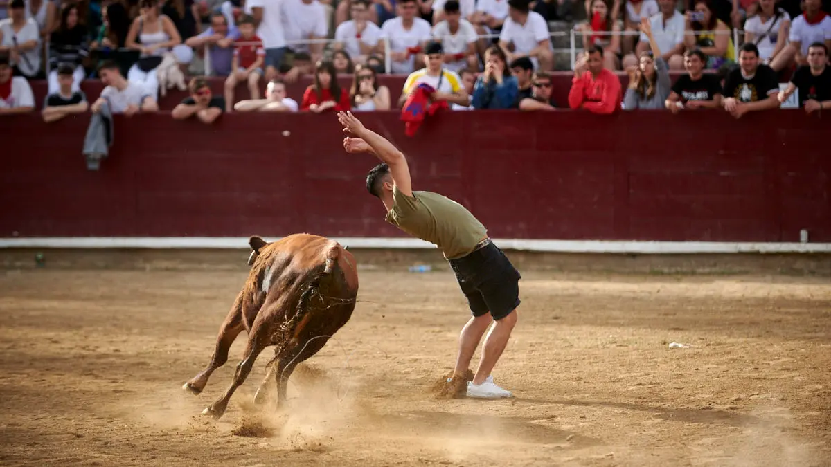 Encierro de novillos el domingo en Estella durante las Fiestas del Puy. IRANZU LARRASOAÑA