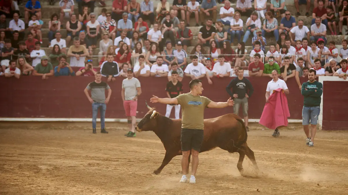 Encierro de novillos el domingo en Estella durante las Fiestas del Puy. IRANZU LARRASOAÑA