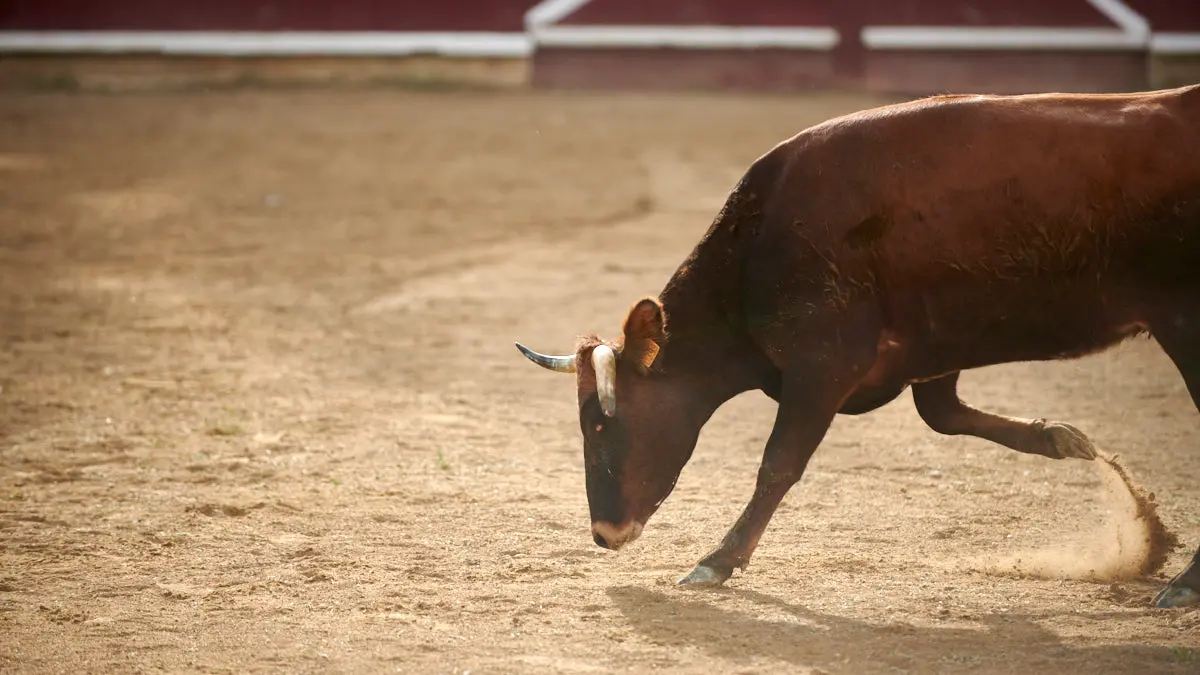 Encierro de novillos el domingo en Estella durante las Fiestas del Puy. IRANZU LARRASOAÑA