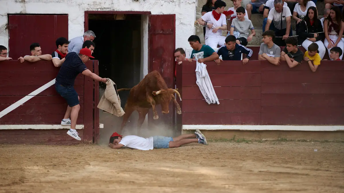 Encierro de novillos el domingo en Estella durante las Fiestas del Puy. IRANZU LARRASOAÑA