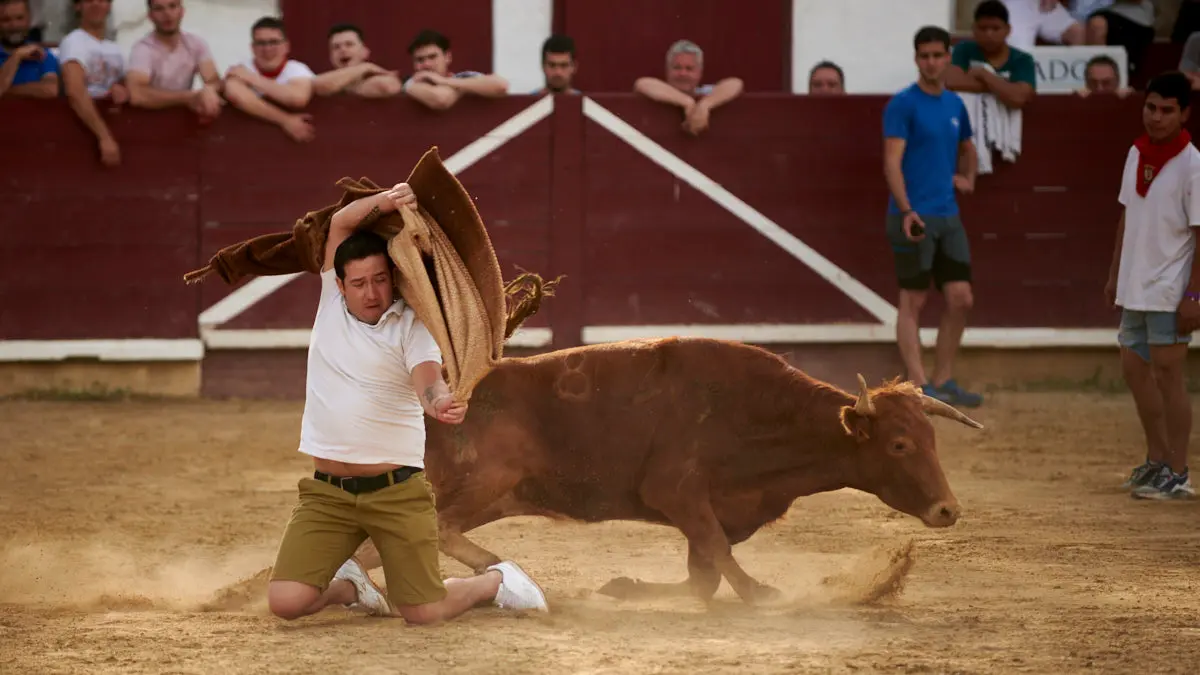 Encierro de novillos el domingo en Estella durante las Fiestas del Puy. IRANZU LARRASOAÑA
