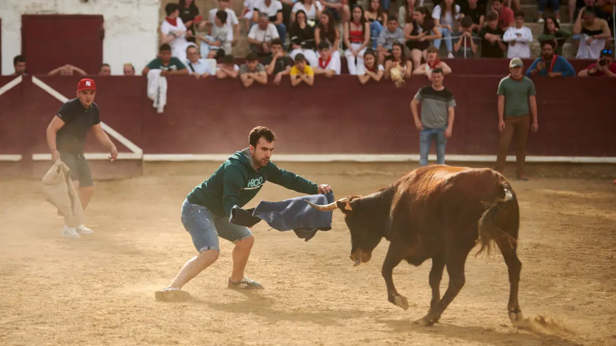 Encierro de novillos el domingo en Estella durante las Fiestas del Puy. IRANZU LARRASOAÑA