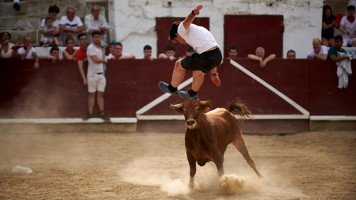Encierro de novillos el domingo en Estella durante las Fiestas del Puy. IRANZU LARRASOAÑA