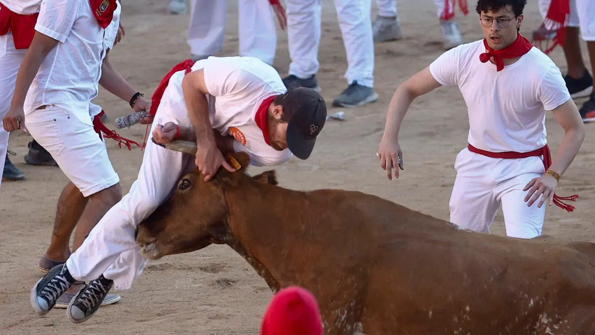 Tradicional suelta de vaquillas en la plaza de toros tras el segundo encierro de los Sanfermines 2022, una carrera que se ha alargado hasta los 3:10 minutos por un toro rezagado. EFE/Rodrigo Jiménez