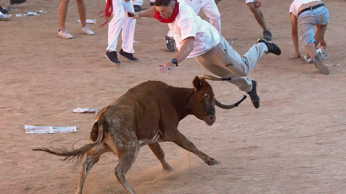 Tradicional suelta de vaquillas en la plaza de toros tras el segundo encierro de los Sanfermines 2022, una carrera que se ha alargado hasta los 3:10 minutos por un toro rezagado. EFE/Rodrigo Jiménez