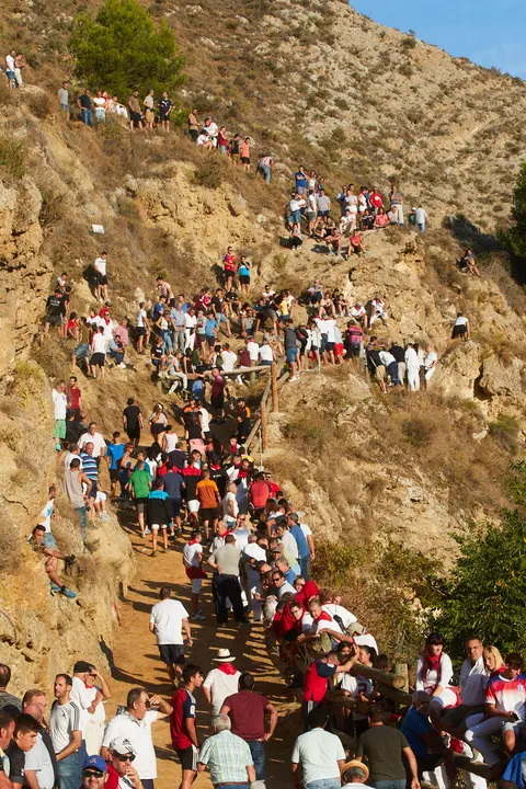 Tercer encierro del Pilón de Falces 2023. IÑIGO ALZUGARAY