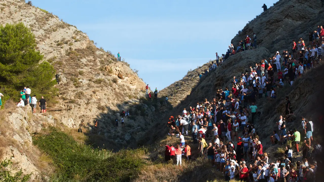 Tercer encierro del Pilón de Falces 2023. IÑIGO ALZUGARAY
