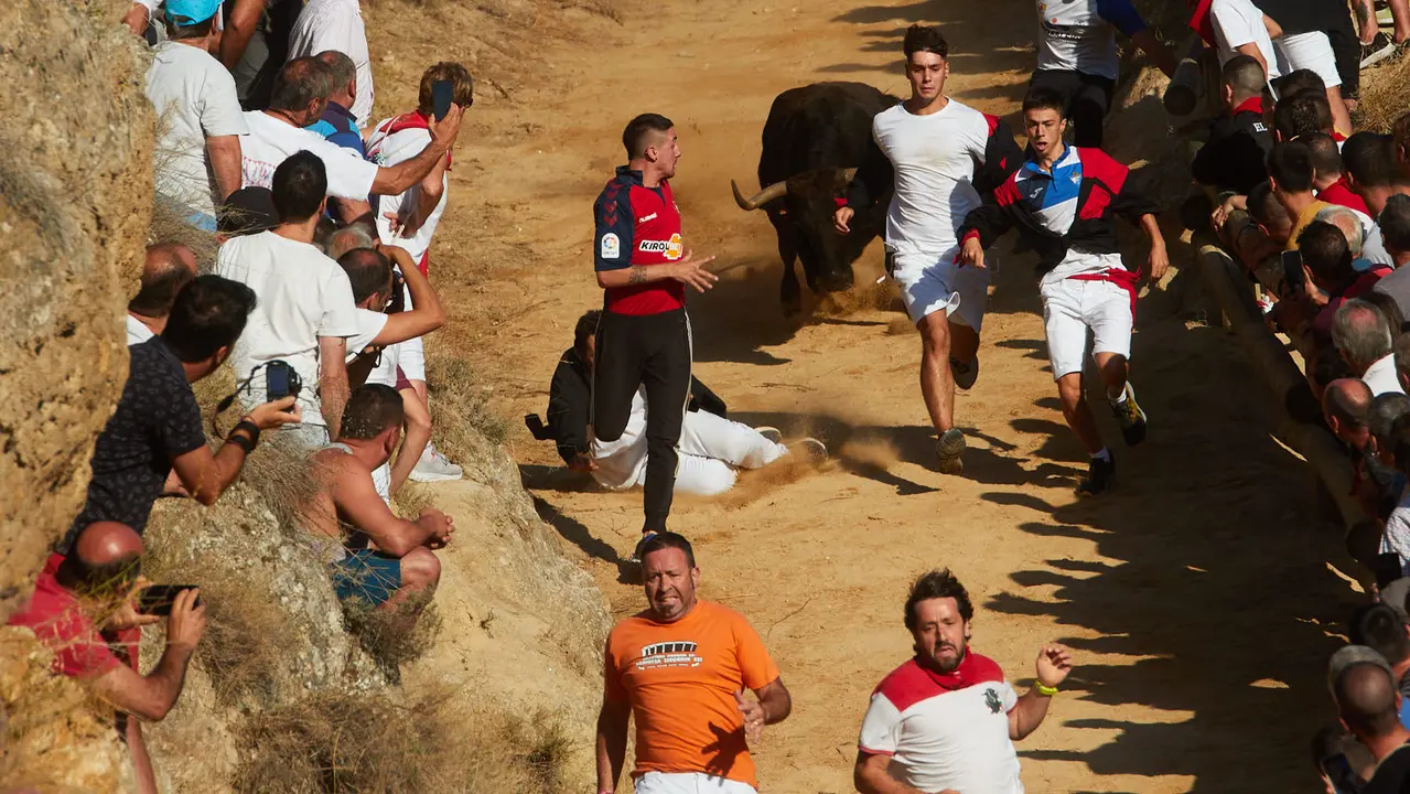 Tercer encierro del Pilón de Falces 2023. IÑIGO ALZUGARAY