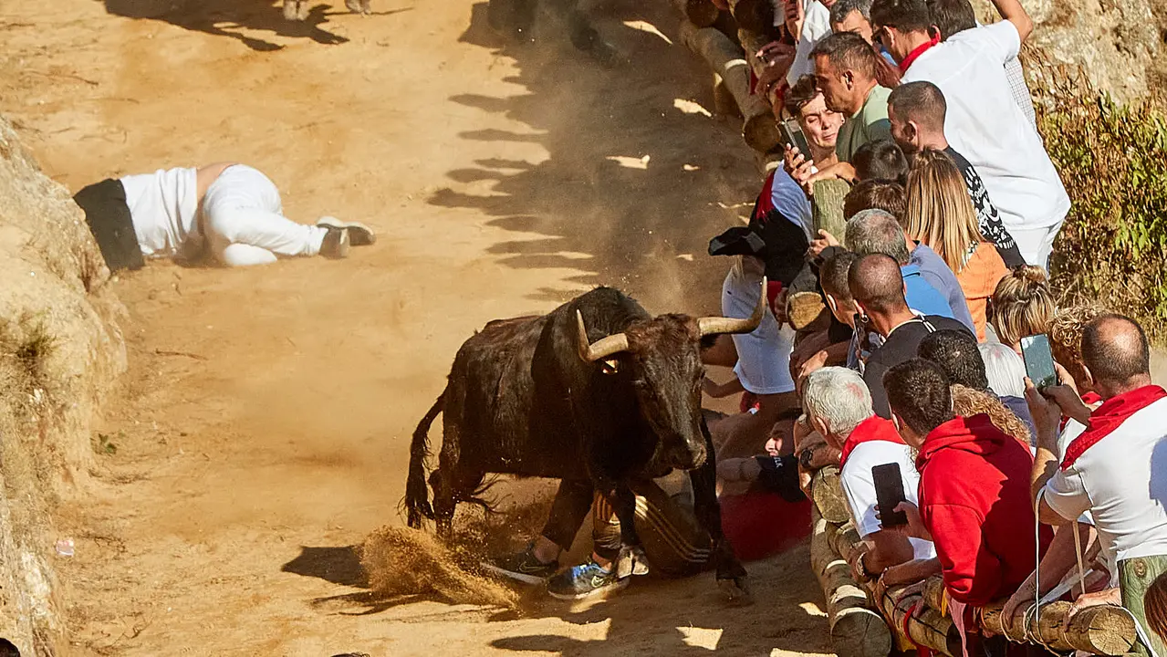 Tercer encierro del Pilón de Falces 2023. IÑIGO ALZUGARAY