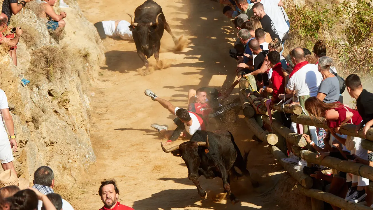 Tercer encierro del Pilón de Falces 2023. IÑIGO ALZUGARAY