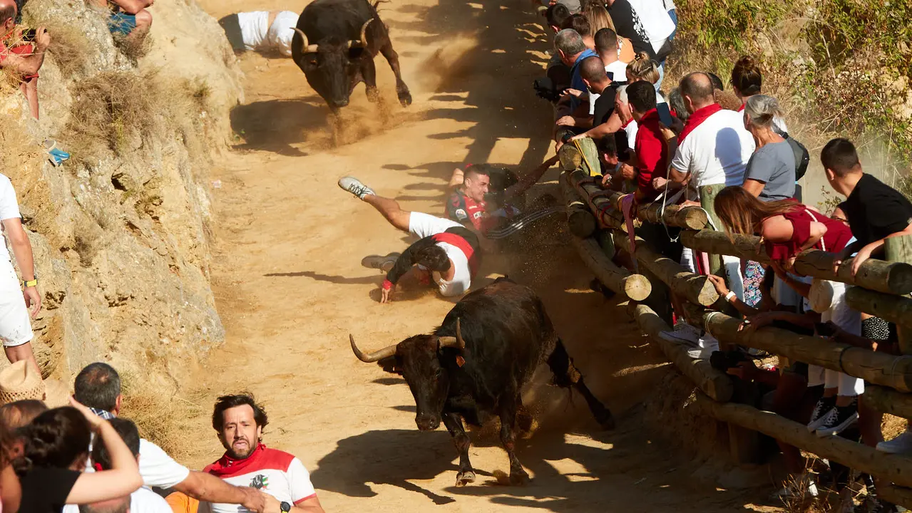 Tercer encierro del Pilón de Falces 2023. IÑIGO ALZUGARAY