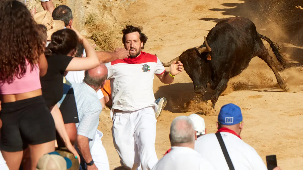 Tercer encierro del Pilón de Falces 2023. IÑIGO ALZUGARAY