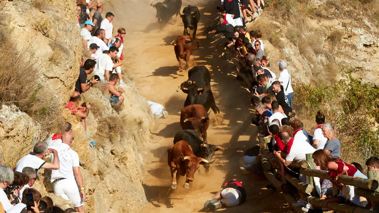Tercer encierro del Pilón de Falces 2023. IÑIGO ALZUGARAY