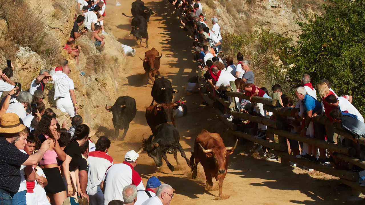 Tercer encierro del Pilón de Falces 2023. IÑIGO ALZUGARAY
