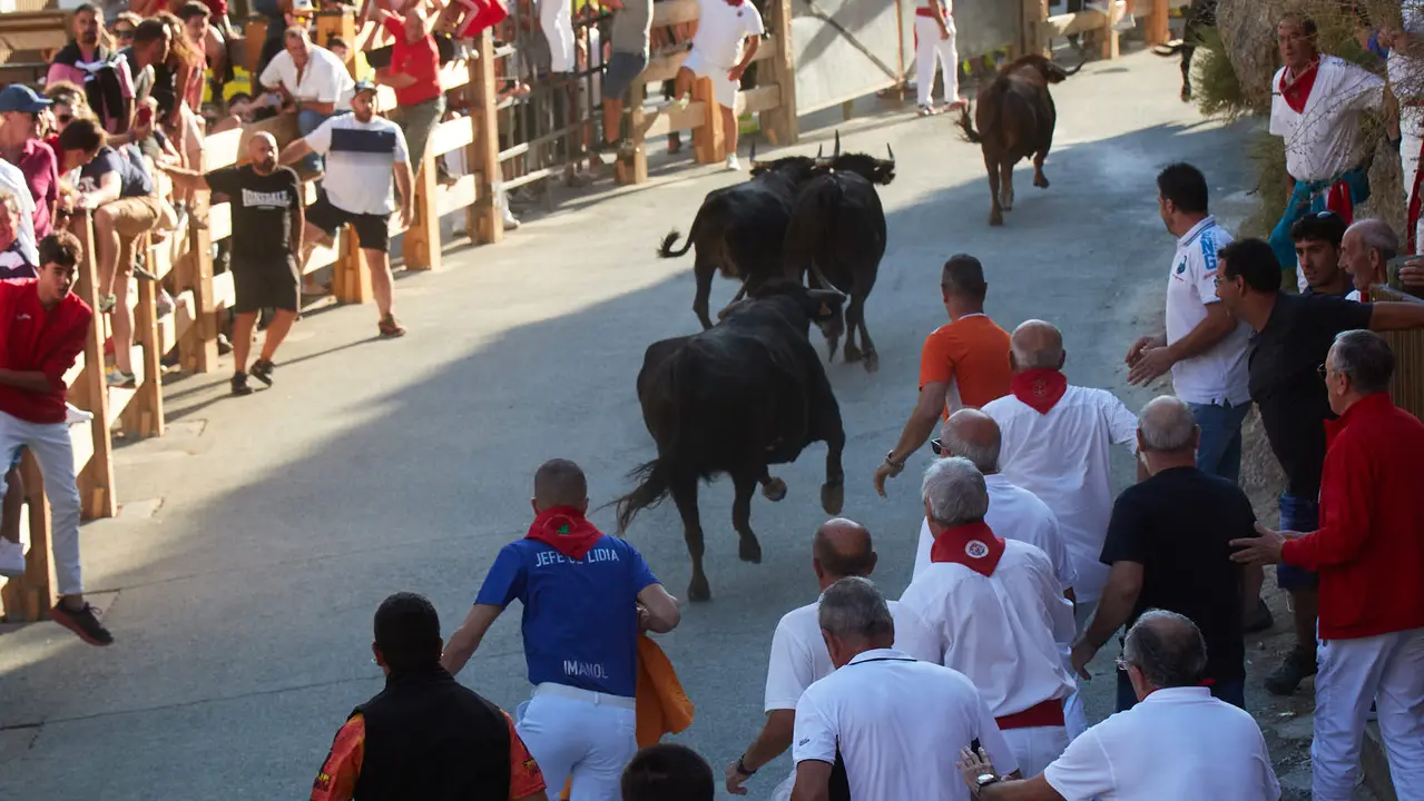 Tercer encierro del Pilón de Falces 2023. IÑIGO ALZUGARAY