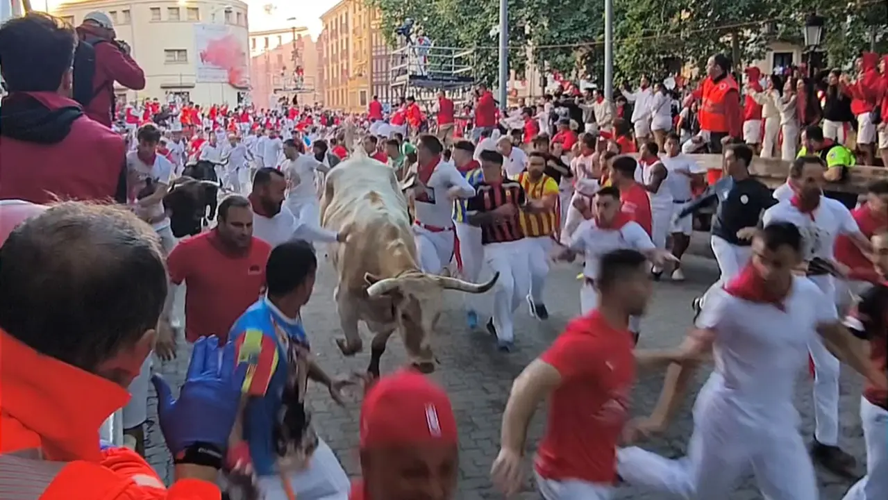 Imagen del momento en el que un cabestro pega una coz en plena carrera en el primer encierro de San Ferm&iacute;n. NAVARRA.COM