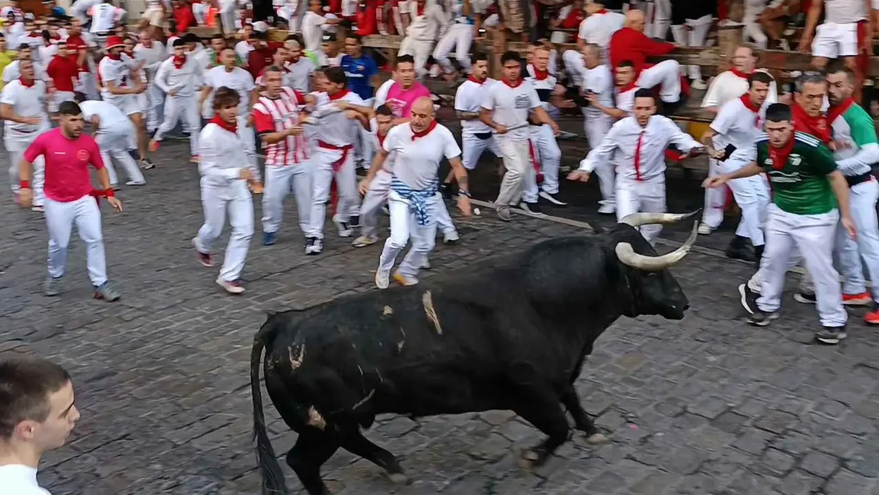 Desgre&ntilde;ado, el toro de Cebada Gago ca&iacute;do en la curva de Telef&oacute;nica.