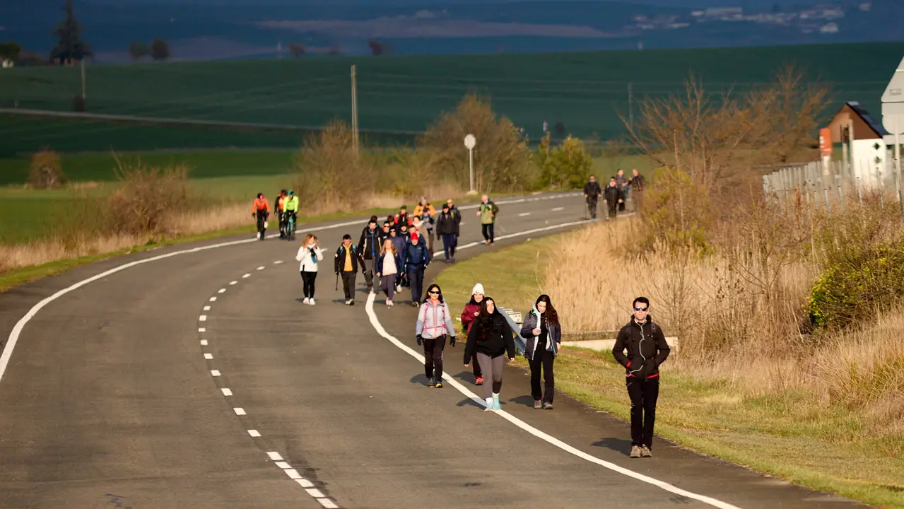 Cientos de personas caminan desde diferentes puntos de Navarra hasta Javier dentro de la segunda Javierada de 2025 bajo el lema 'Peregrinos de la Esperanza'. IÑIGO ALZUGARAY