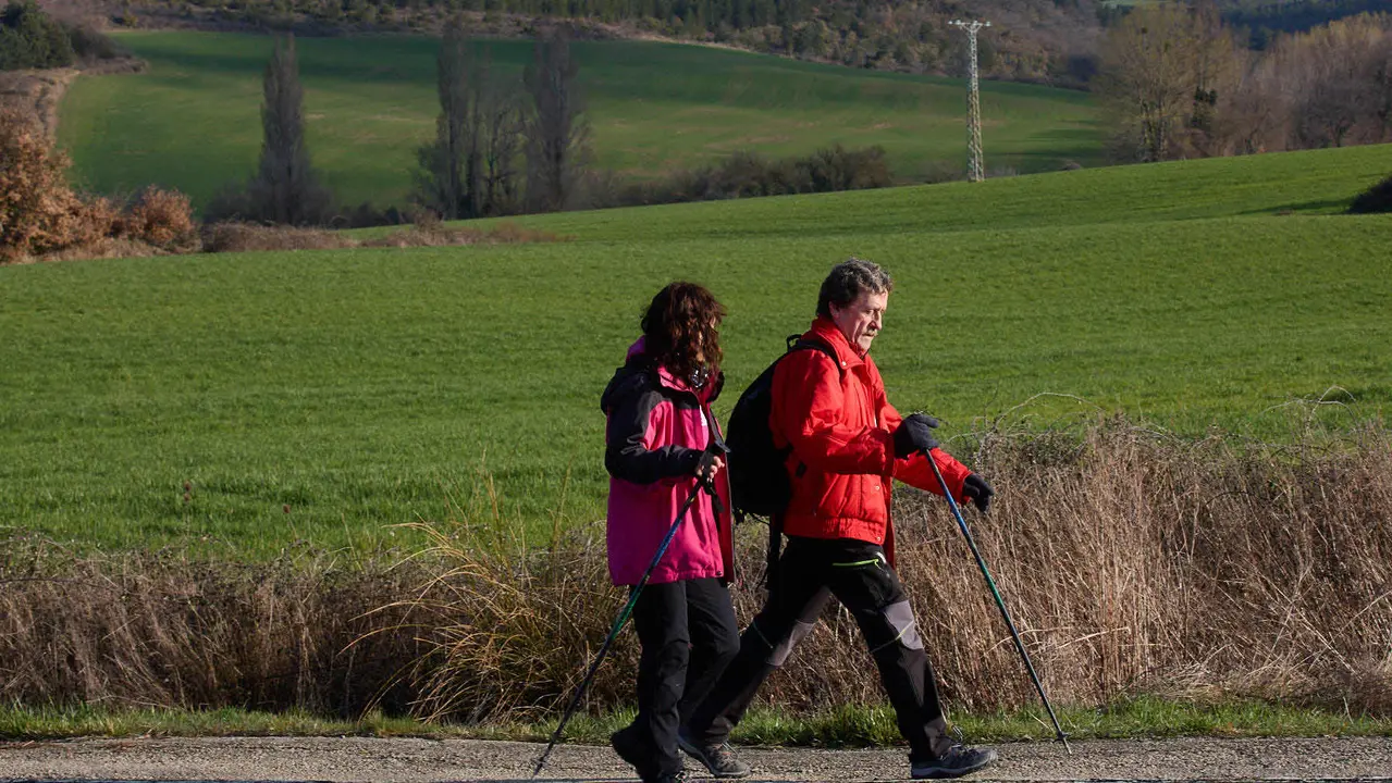 Cientos de personas caminan desde diferentes puntos de Navarra hasta Javier dentro de la segunda Javierada de 2025 bajo el lema 'Peregrinos de la Esperanza'. IÑIGO ALZUGARAY