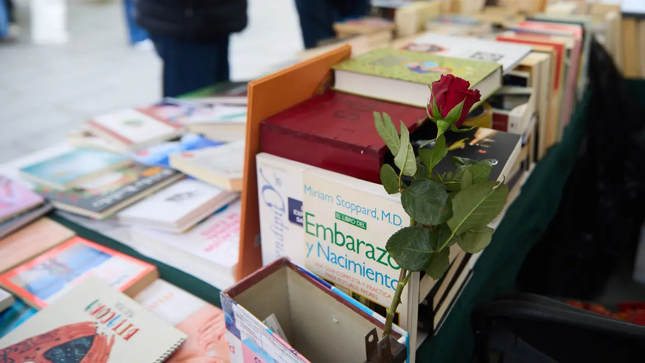 Feria del libro en la avenida Carlos III de Pamplona organizada con motivo del Día Internacional del Libro. IÑIGO ALZUGARAY