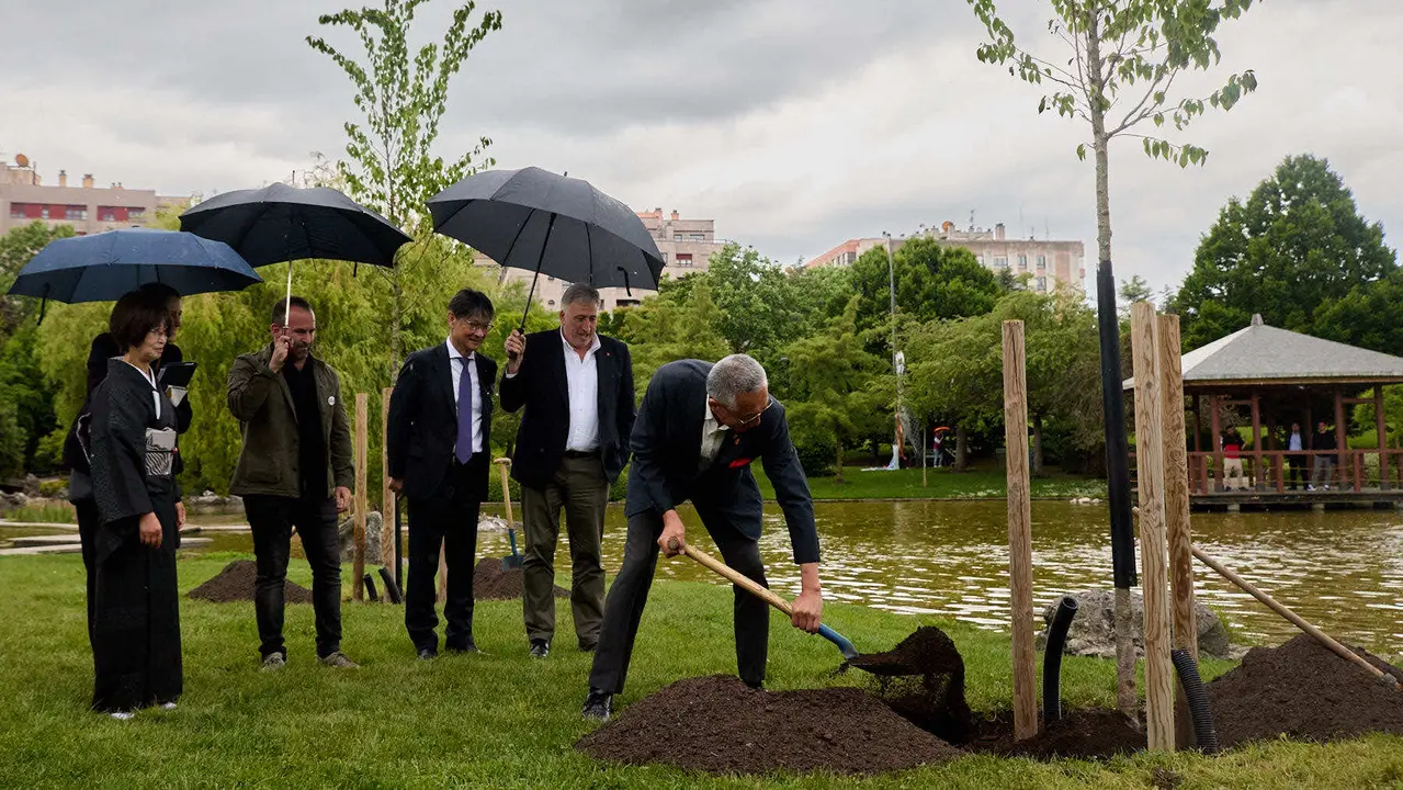 Los alcaldes de Pamplona y Yamaguchi, Joseba Asiron Saez y Kazuki Ito, respectivamente, participan en un acto simbólico de plantación de arbolado en el parque de Yamaguchi de Pamplona. IÑIGO ALZUGARAY