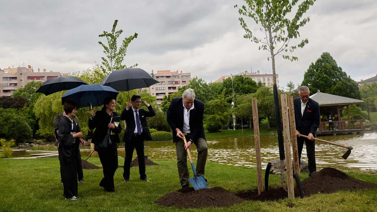 Los alcaldes de Pamplona y Yamaguchi, Joseba Asiron Saez y Kazuki Ito, respectivamente, participan en un acto simbólico de plantación de arbolado en el parque de Yamaguchi de Pamplona. IÑIGO ALZUGARAY