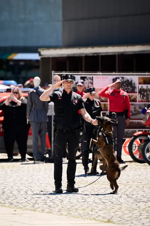 Jornada de puertas abiertas de Policía Foral con exhibiciones del Grupo de guías caninos y el Grupo de Intervenciones Especiales GIE. PABLO LASAOSA