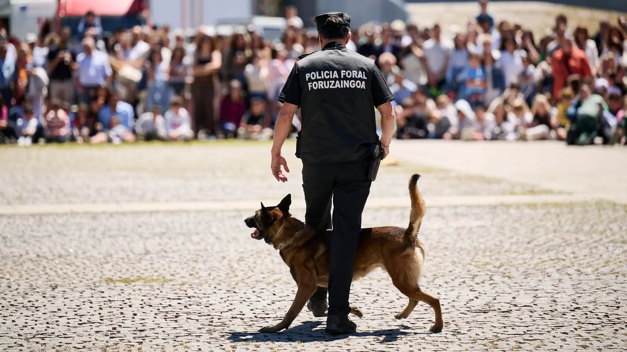 Jornada de puertas abiertas de Policía Foral con exhibiciones del Grupo de guías caninos y el Grupo de Intervenciones Especiales GIE. PABLO LASAOSA