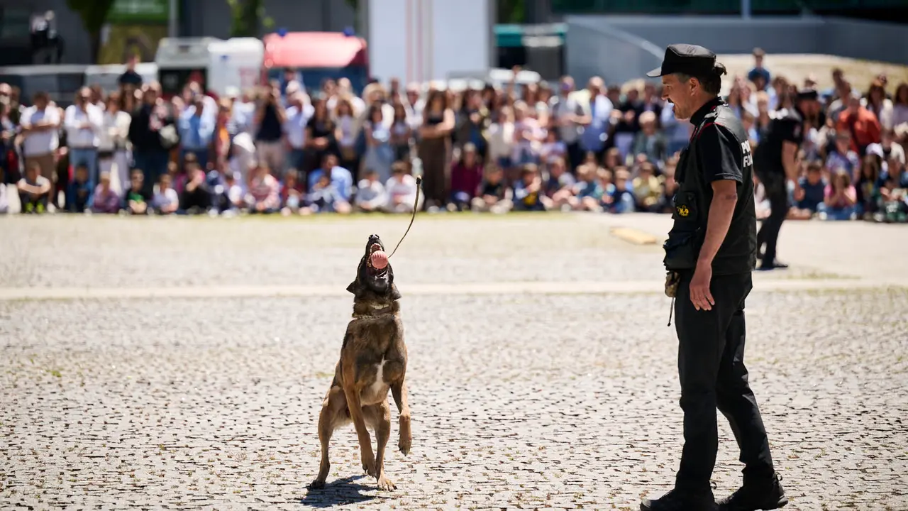 Jornada de puertas abiertas de Policía Foral con exhibiciones del Grupo de guías caninos y el Grupo de Intervenciones Especiales GIE. PABLO LASAOSA