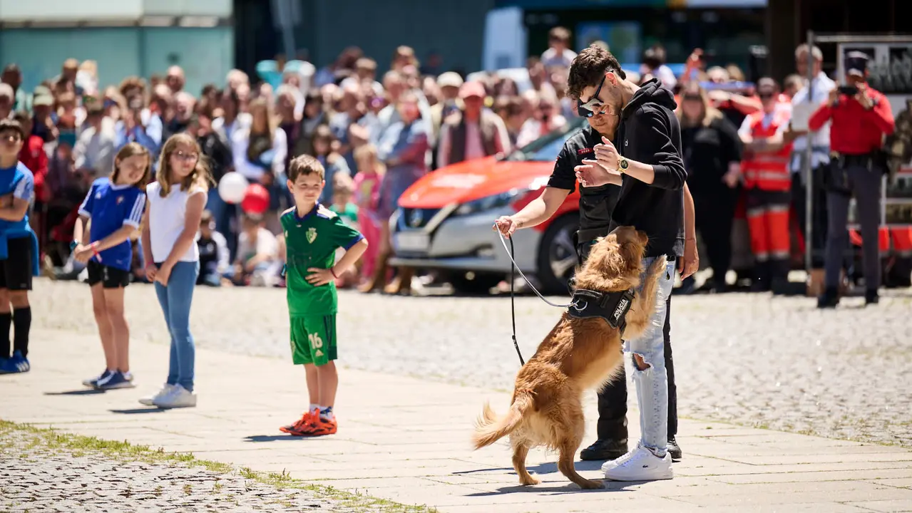 Jornada de puertas abiertas de Policía Foral con exhibiciones del Grupo de guías caninos y el Grupo de Intervenciones Especiales GIE. PABLO LASAOSA