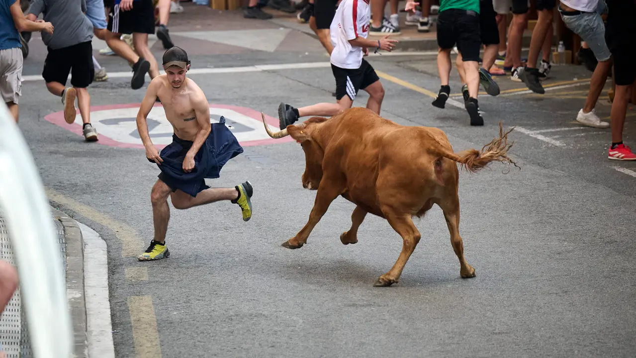 Tarde de vacas en las fiestas de Mutilva 2025. PABLO LASAOSA