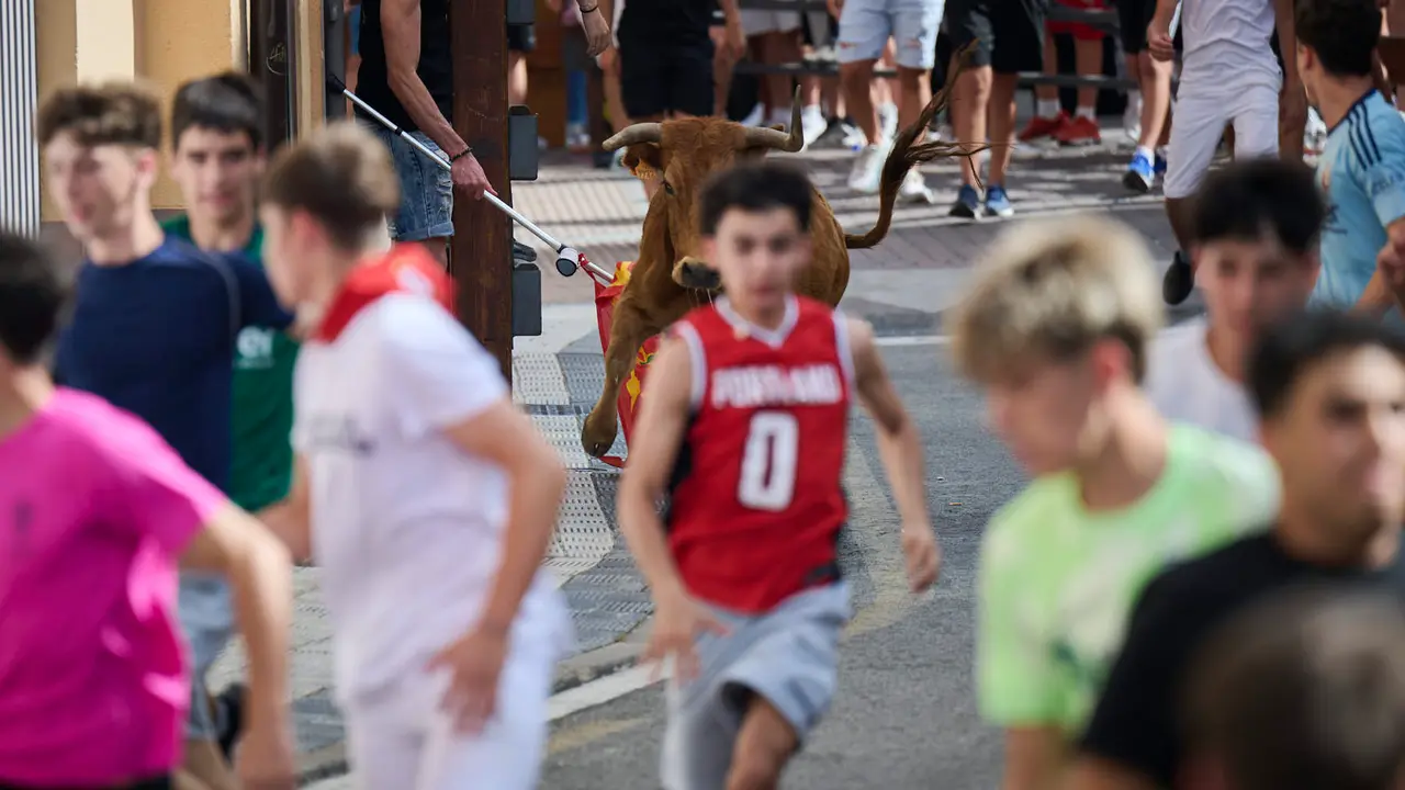 Tarde de vacas en las fiestas de Mutilva 2025. PABLO LASAOSA